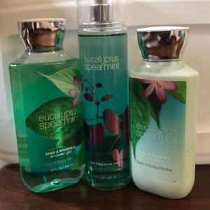 Eucalyptus Spearmint set